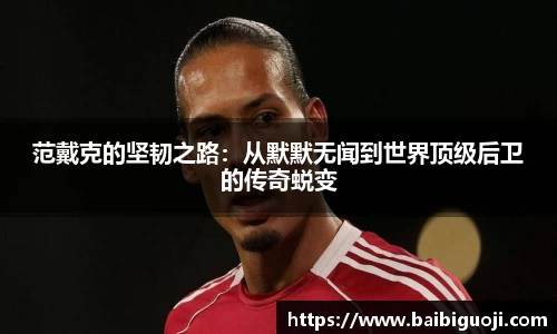 范戴克的坚韧之路：从默默无闻到世界顶级后卫的传奇蜕变